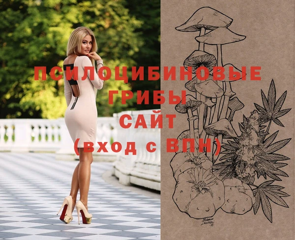 2c-b Алексеевка