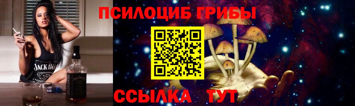 Галлюциногенные грибы ЛСД Находка